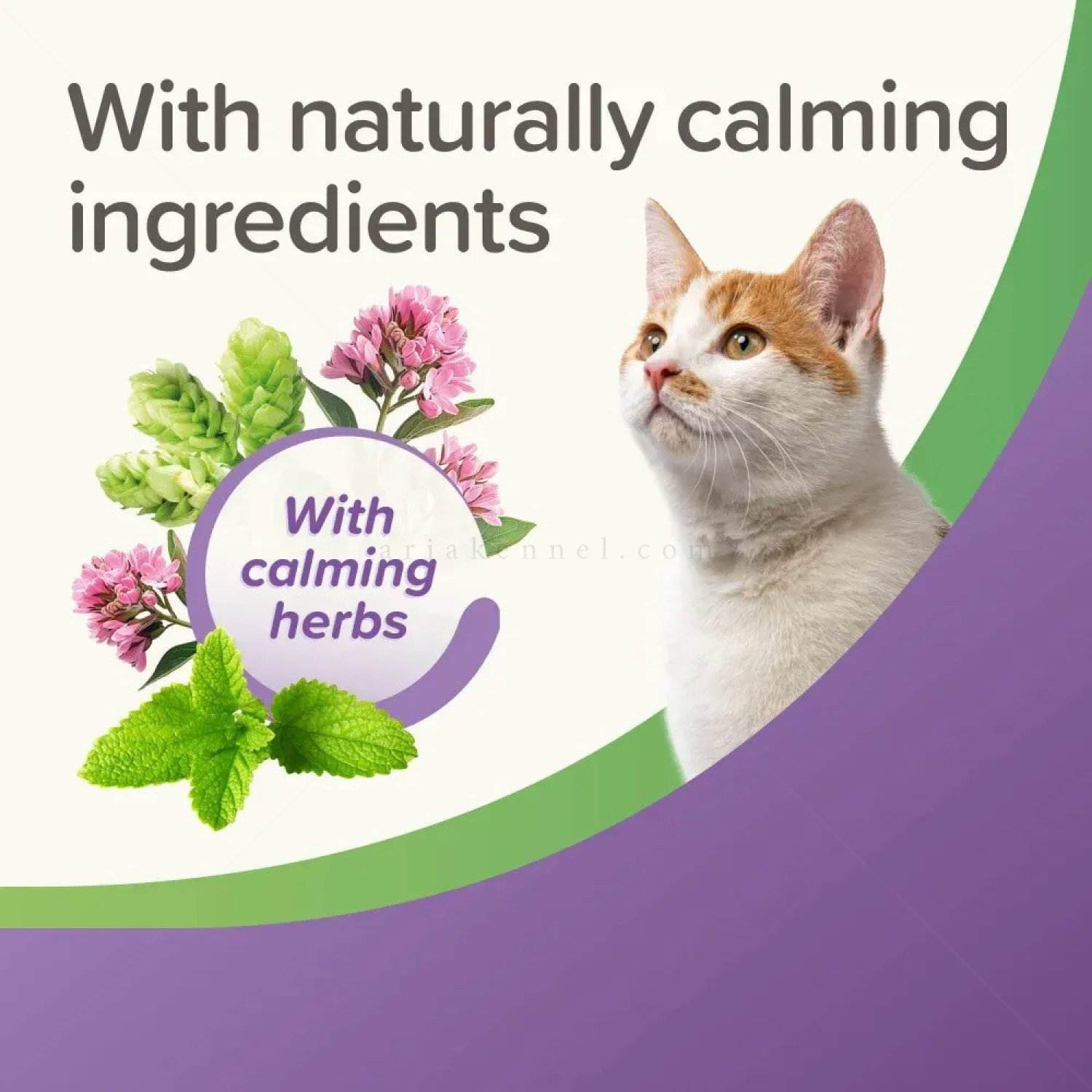 Успокояващи хапки за котки с вкус на пилешко месо BEAPHAR StressLess Herbal Calming Treats