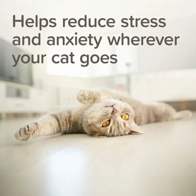 Успокояващи пипети BEAPHAR StressLess Herbal Calming Spot On Cat