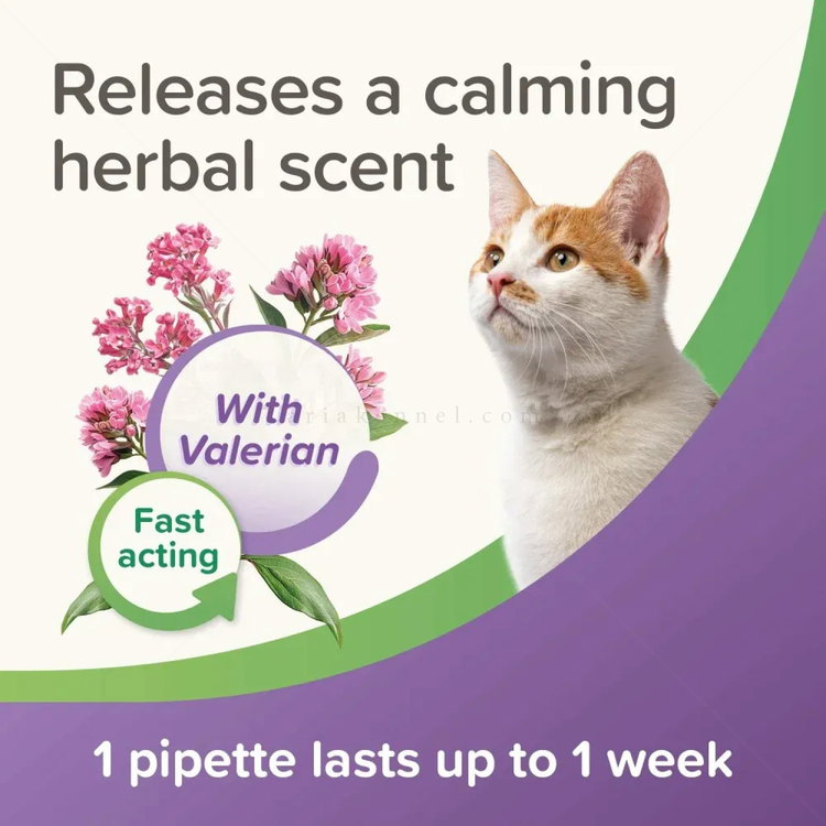 Успокояващи пипети BEAPHAR StressLess Herbal Calming Spot On Cat