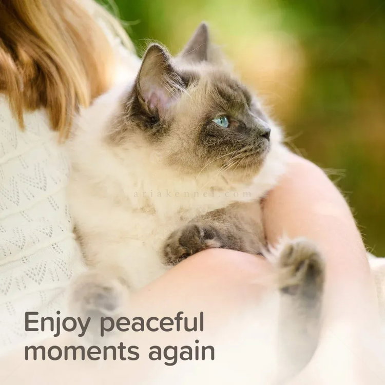 Успокояващи пипети BEAPHAR StressLess Herbal Calming Spot On Cat