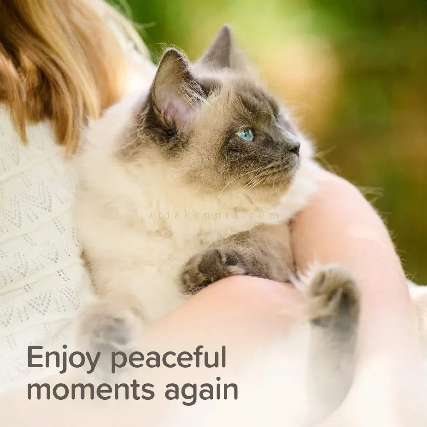 Успокояващи пипети BEAPHAR StressLess Herbal Calming Spot On Cat