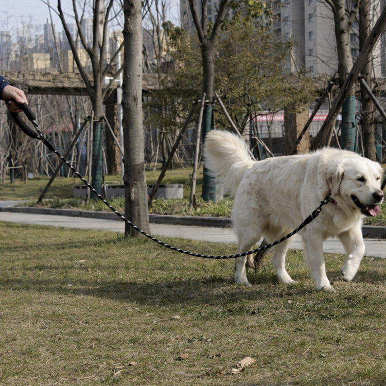 Светлоотразителен тренировъчен повод + диспенсър с 1 ролка торбички PURLOV, 3 м/ Ø12 мм