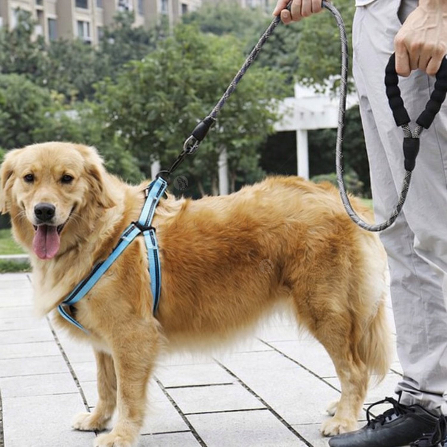 Светлоотразителен тренировъчен повод + диспенсър с 1 ролка торбички PURLOV, 5 м/ Ø12 мм