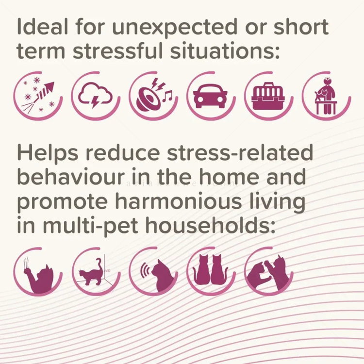 Успокояващи капки с феромони BEAPHAR CatComfort Calming Spot on