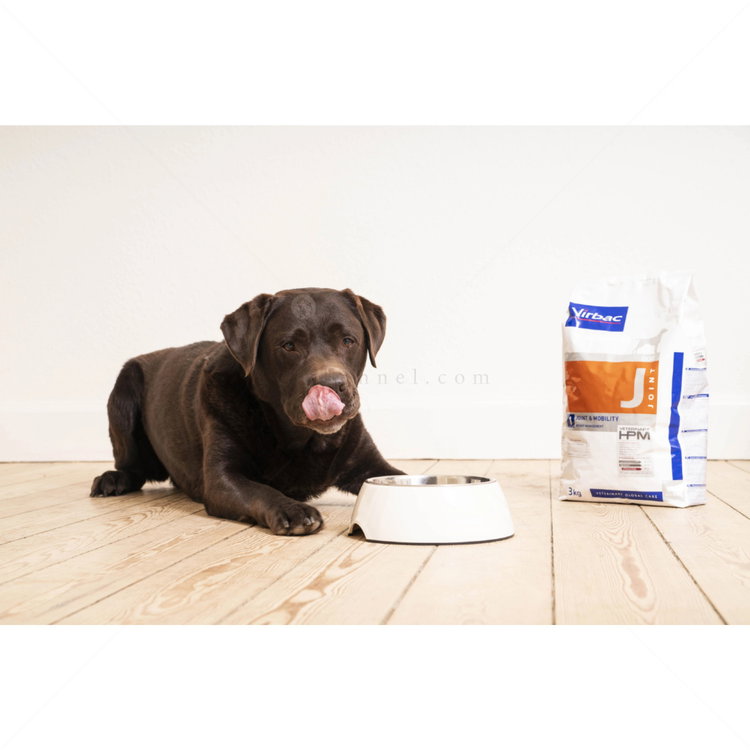 VIRBAC Dog Joint & Mobility J - 12 кг