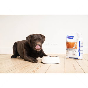 VIRBAC Dog Joint & Mobility J - 12 кг