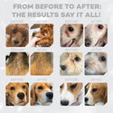 Храна за кучета с червена козина 10 кг NATURE'S PROTECTION Superior Care Red Coat Adult Small Breeds Poultry