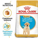 ROYAL CANIN Puppy Labrador Retriever - 12 кг
