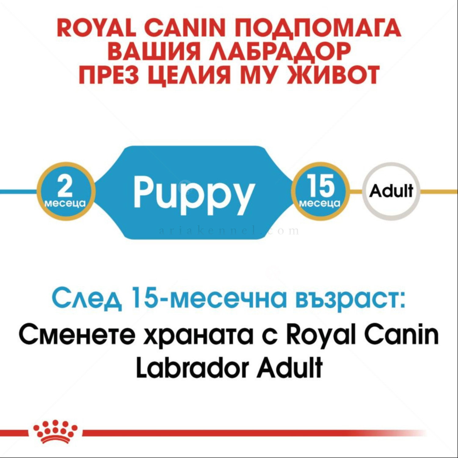 ROYAL CANIN Puppy Labrador Retriever - 12 кг