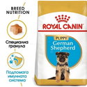 ROYAL CANIN Puppy German Shepherd - 12 кг