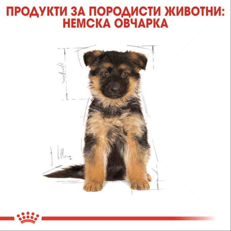 ROYAL CANIN Puppy German Shepherd - 12 кг