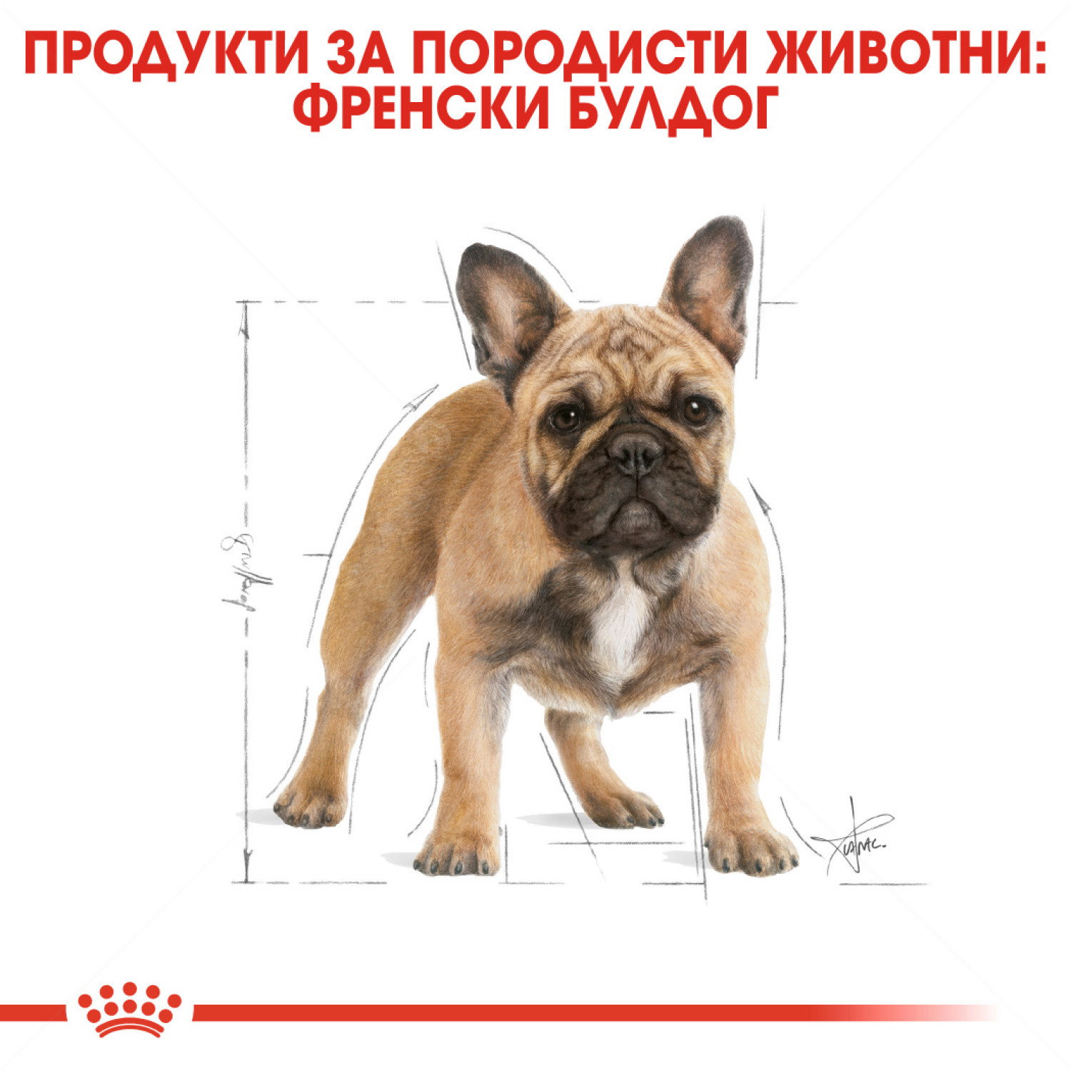 ROYAL CANIN Adult French Bulldog - 9 кг