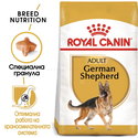 ROYAL CANIN Adult German Shepherd - 11 кг