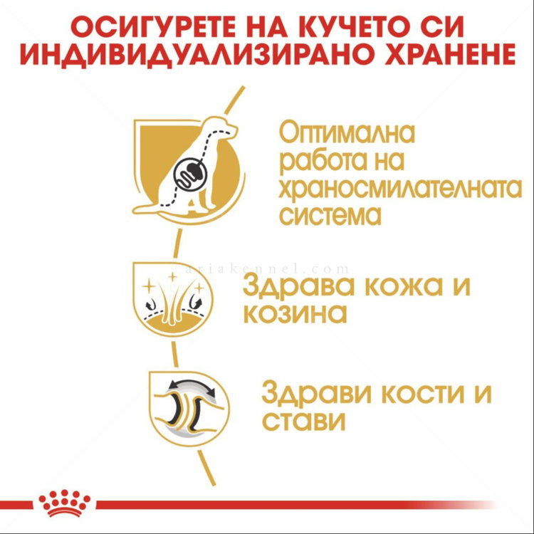 ROYAL CANIN Adult German Shepherd - 11 кг
