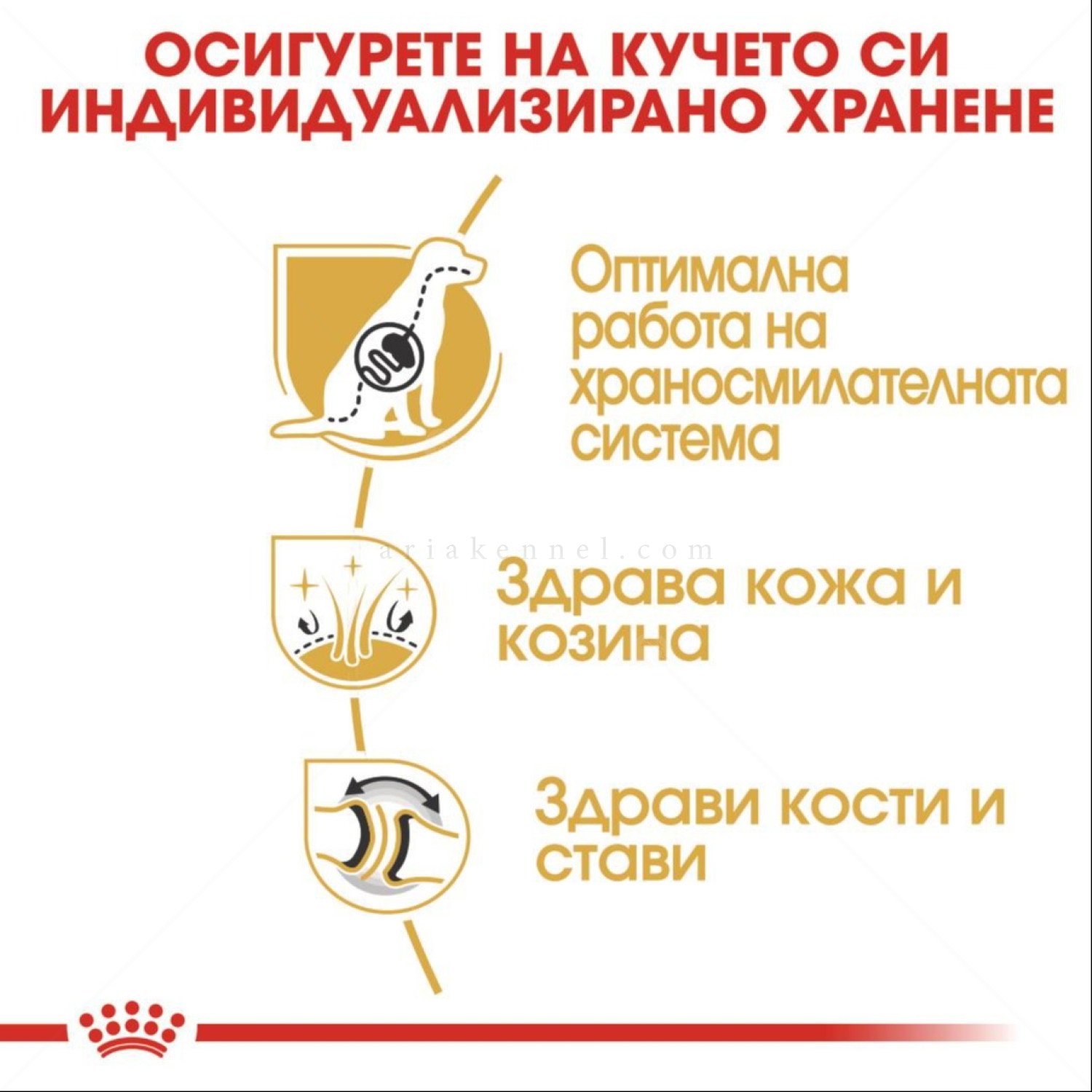ROYAL CANIN Adult German Shepherd - 11 кг