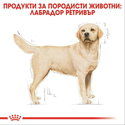 ROYAL CANIN Adult Labrador Retriever - 12 кг