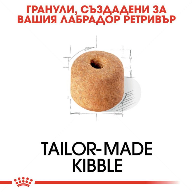 ROYAL CANIN Adult Labrador Retriever - 12 кг