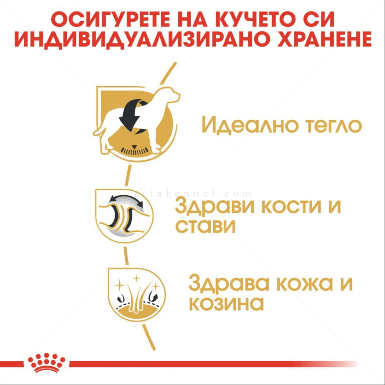 ROYAL CANIN Adult Labrador Retriever - 12 кг