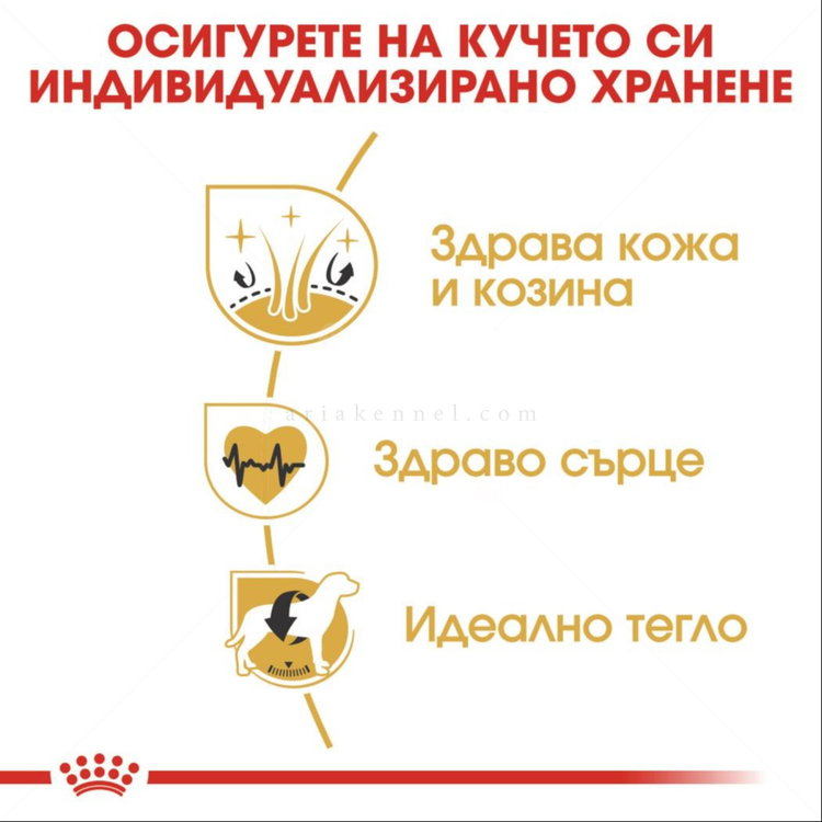 ROYAL CANIN Adult Golden Retriever - 12 кг