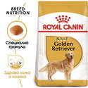 ROYAL CANIN Adult Golden Retriever - 3 кг