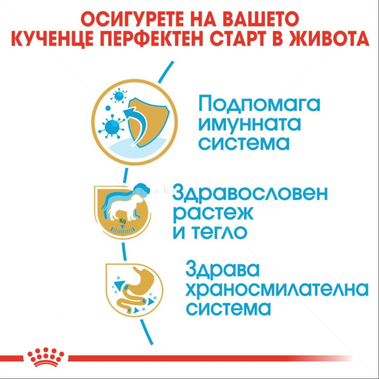 ROYAL CANIN Puppy Labrador Retriever - 3 кг