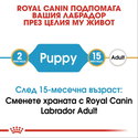 ROYAL CANIN Puppy Labrador Retriever - 3 кг