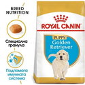 ROYAL CANIN Puppy Golden Retriever - 3 кг
