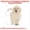 ROYAL CANIN Puppy Golden Retriever - 3 кг