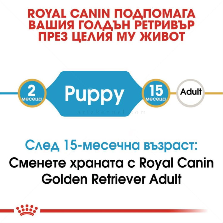 ROYAL CANIN Puppy Golden Retriever - 3 кг