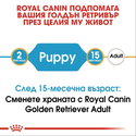 ROYAL CANIN Puppy Golden Retriever - 3 кг