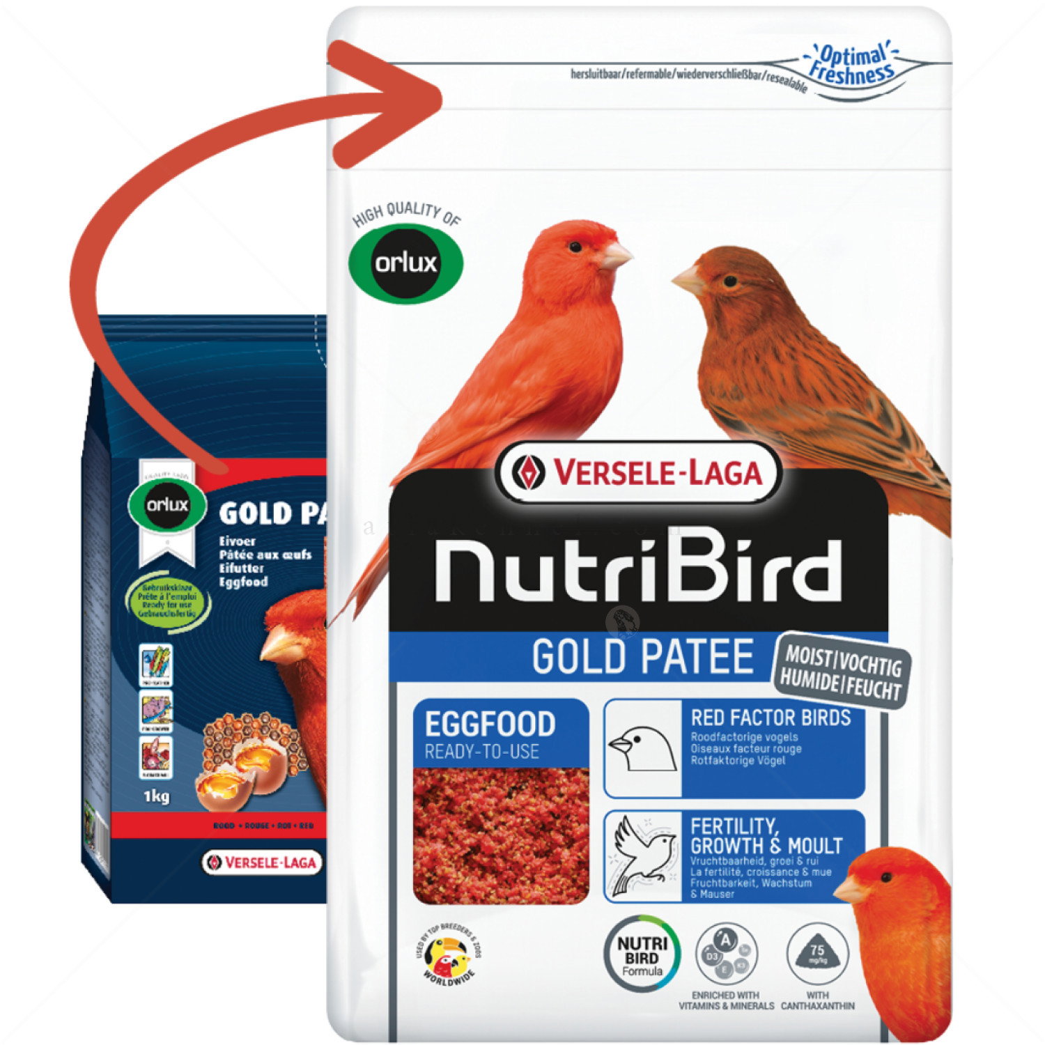 VERSELE LAGA Gold Patee Red Canaries 1 кг.