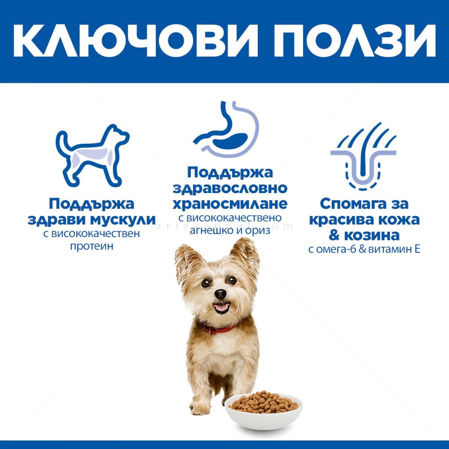 HILL’S SP 1.500 кг Adult Small&Mini Lamb&Rice