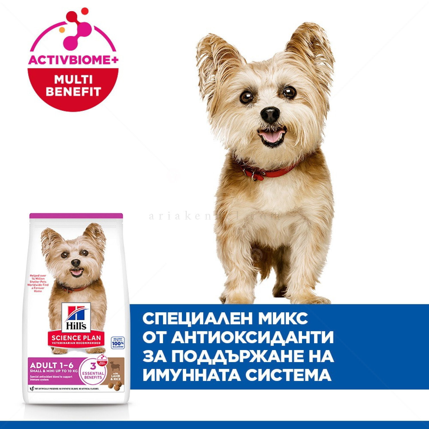 HILL’S SP 1.500 кг Adult Small&Mini Lamb&Rice