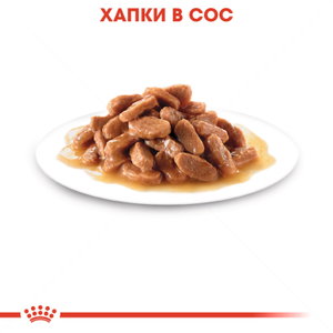 ROYAL CANIN® Kitten 85 гр. пауч в сос грейви