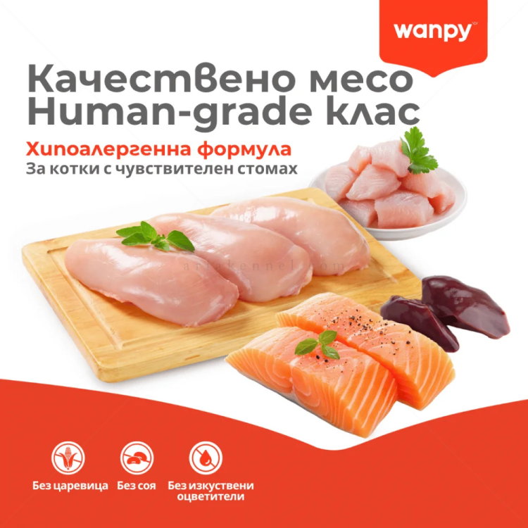 Хрупкави хапки с кремообразен пълнеж с вкус на пилешко месо WANPY Crunchy Pockets Chicken