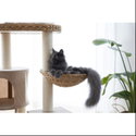 Катерушка Котешко дърво 103 см KERBL Cat Tree Banana Leaf Waxy