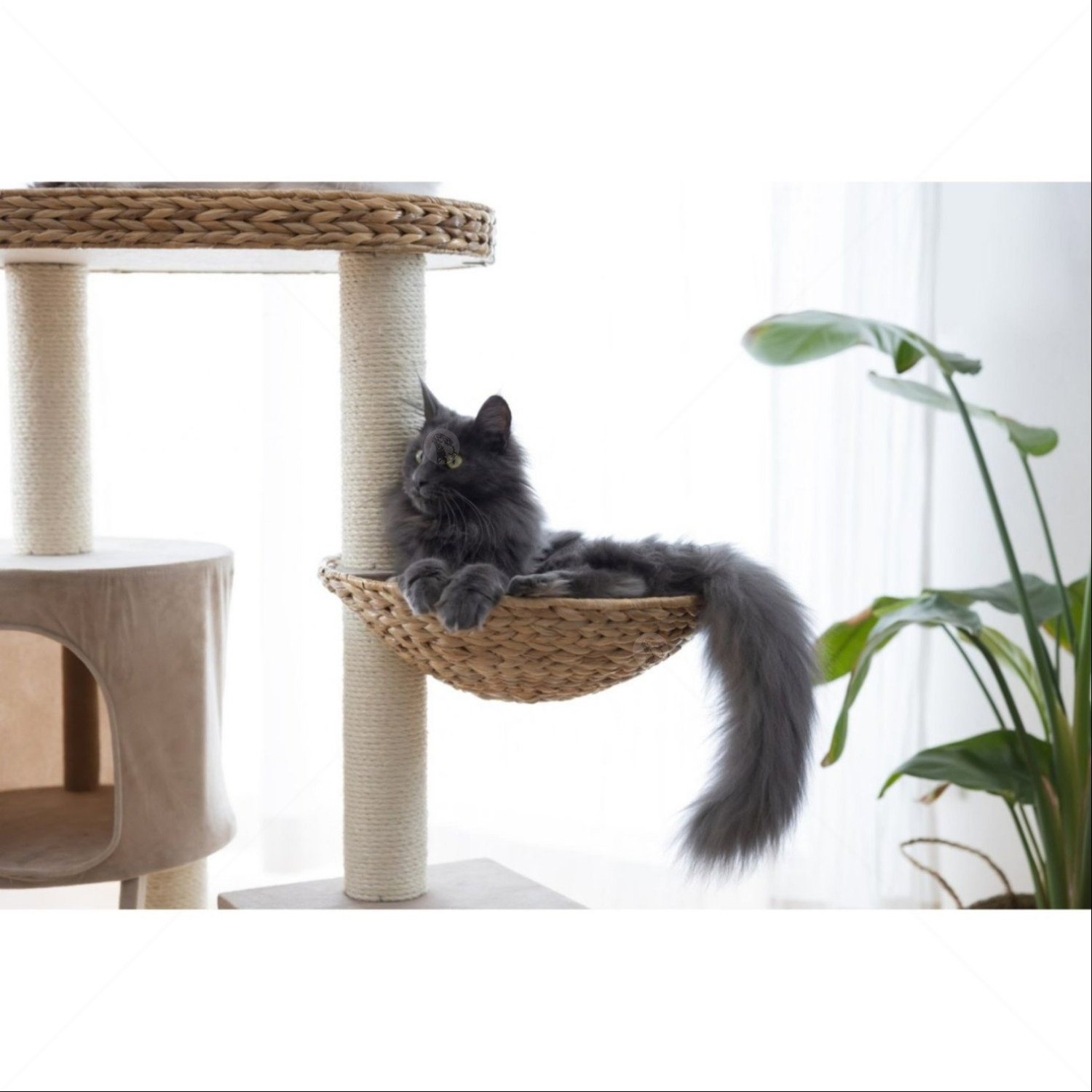 Катерушка Котешко дърво 103 см KERBL Cat Tree Banana Leaf Waxy
