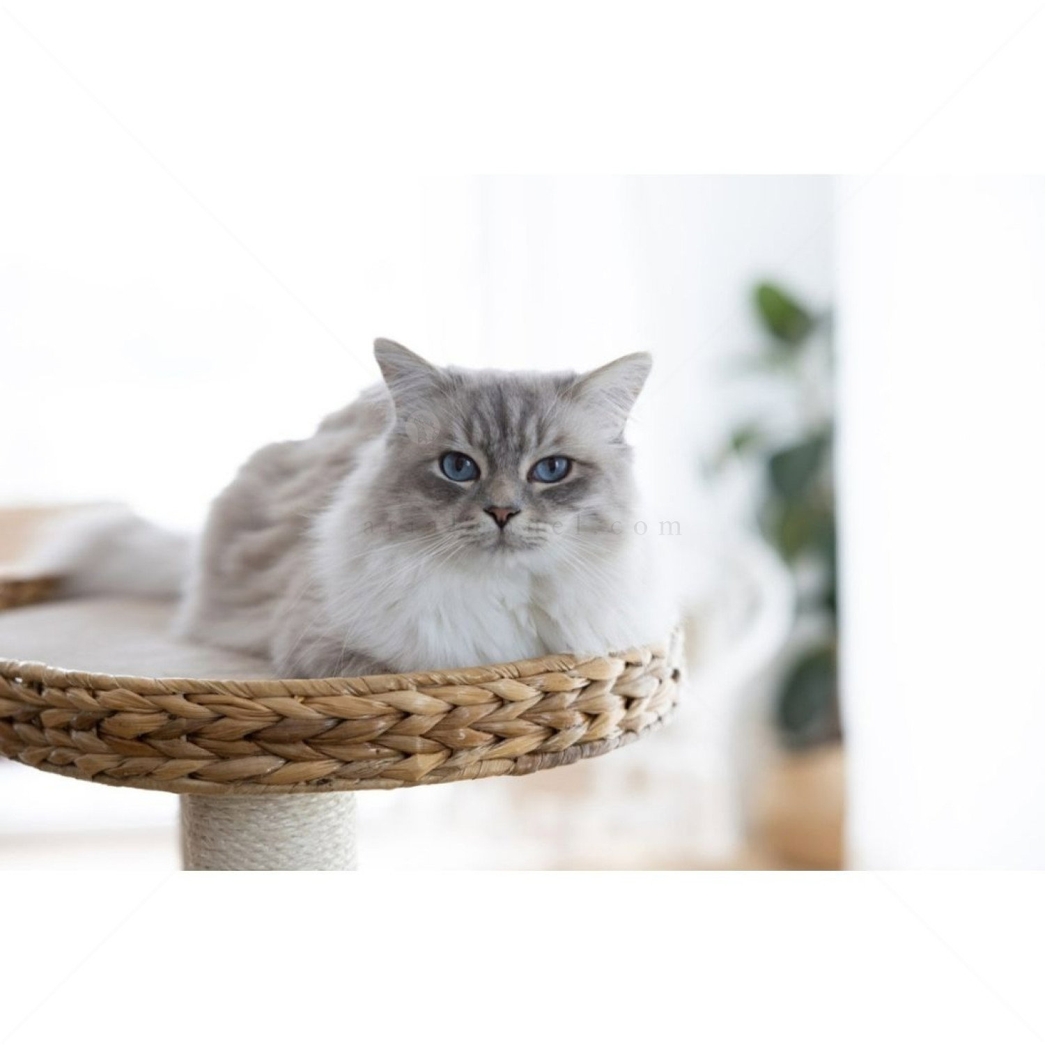 Катерушка Котешко дърво 103 см KERBL Cat Tree Banana Leaf Waxy