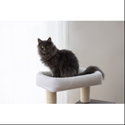 Катерушка Флеър 86 см KERBL Cat Tree Flair