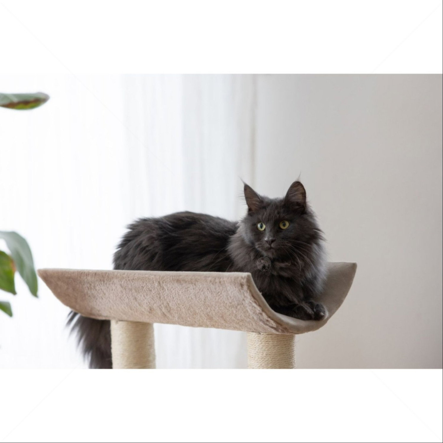 Катерушка 56 см KERBL Cat Tree Ambiance