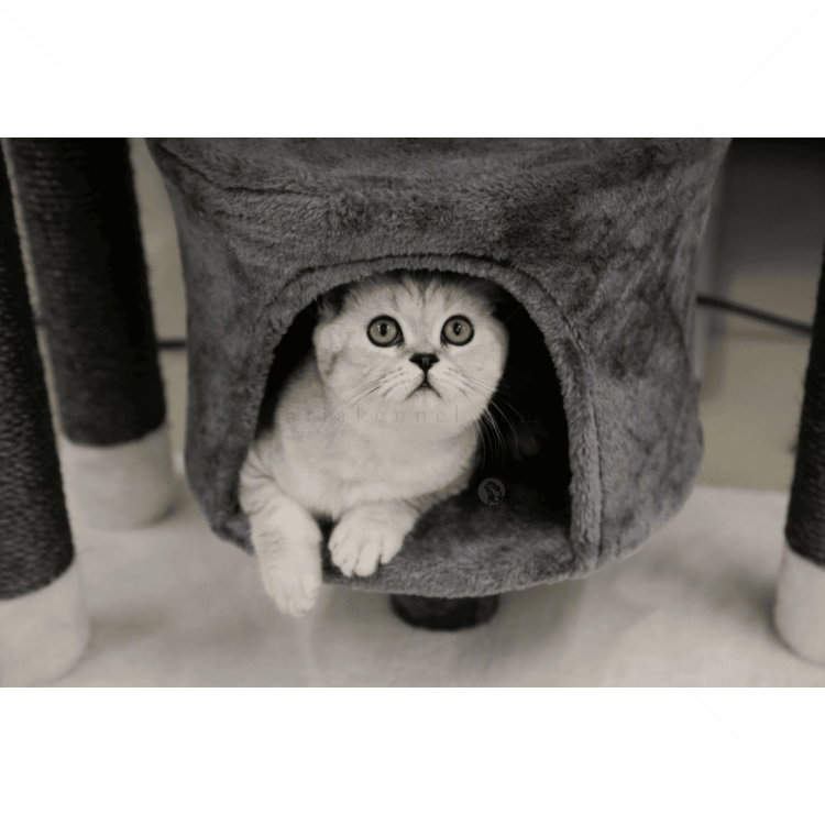 Катерушка Жаде 96 см KERBL Cat Tree Jade Darklight