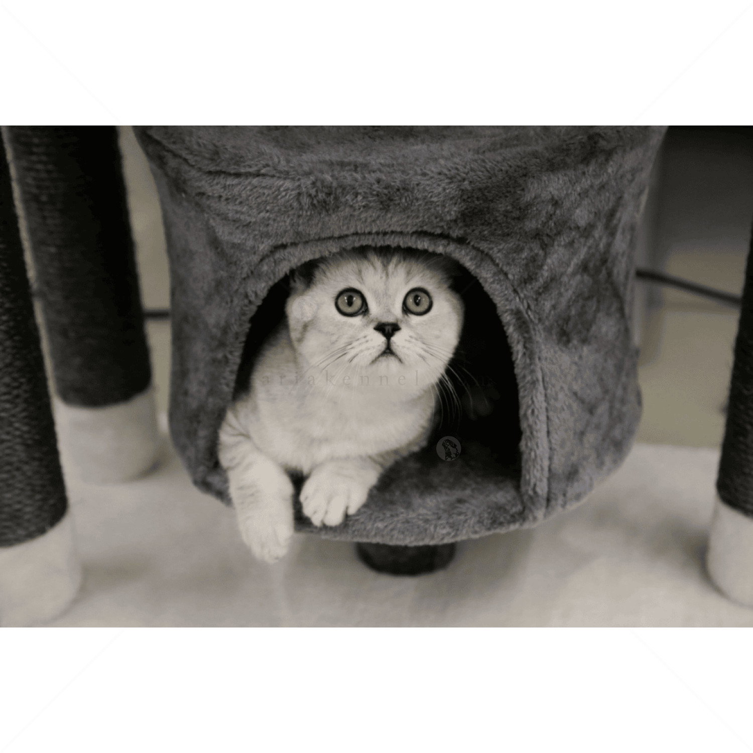 Катерушка Жаде 96 см KERBL Cat Tree Jade Darklight