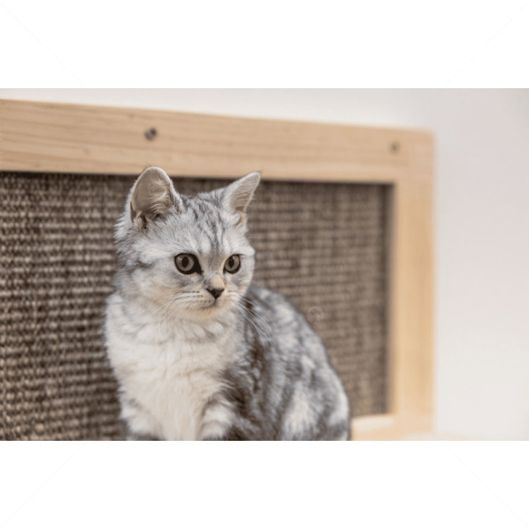 Катерушка за стена с място за почивка KERBL Cat Bed Timber brown