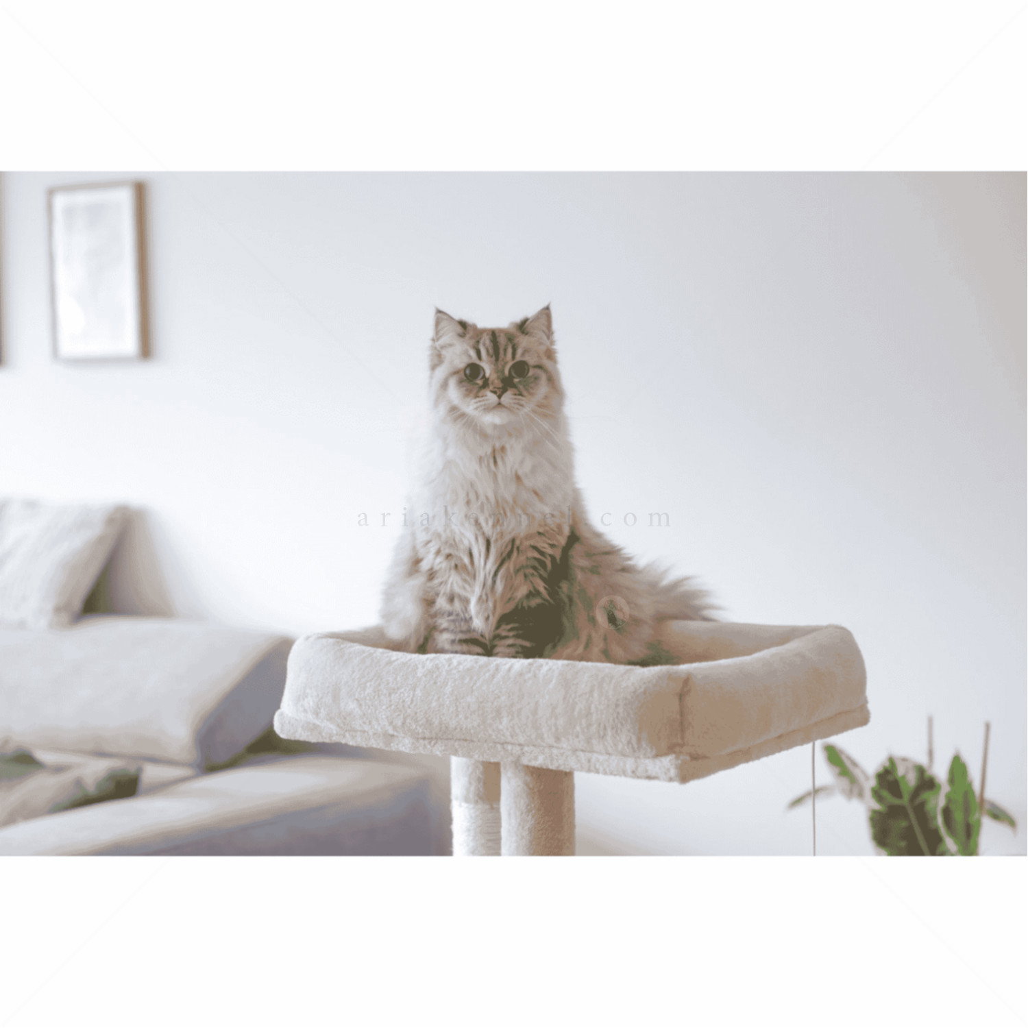 Катерушка Алесия 100 см KERBL Cat Tree Alessia, beige