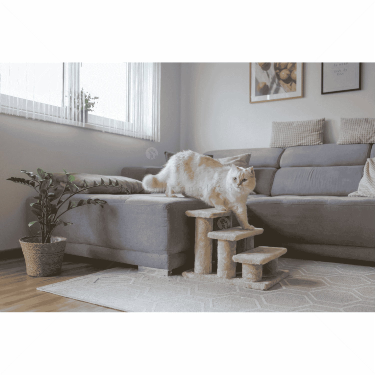 Стъпала 45 см KERBL Animal Stairs Easy Climb