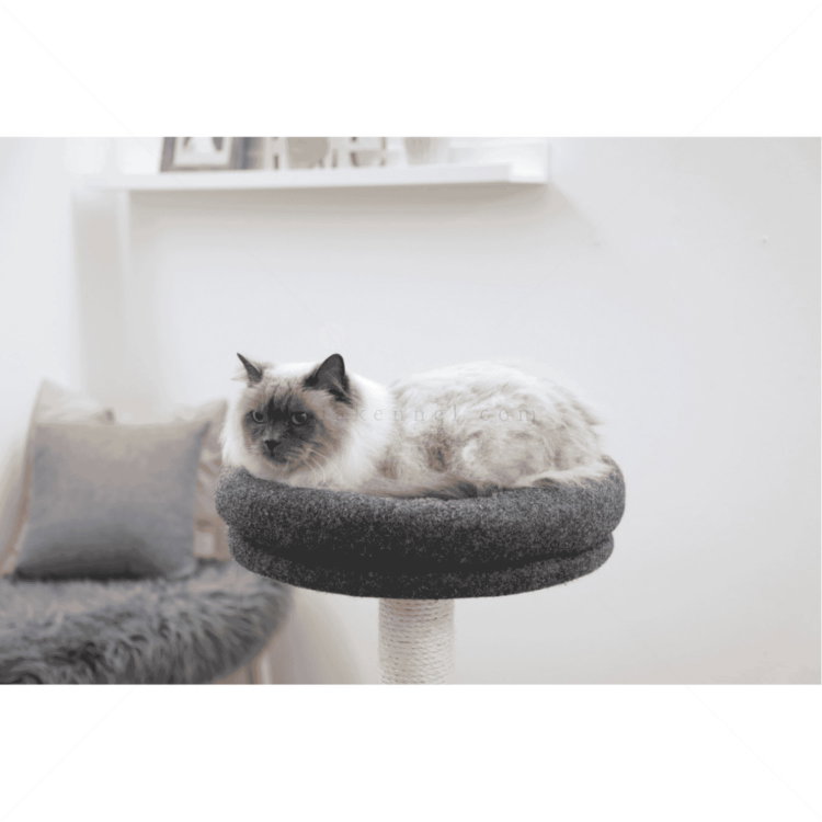 Катерушка Фридолин 106 см KERBL Cat Tree Fridolin made of felt, grey
