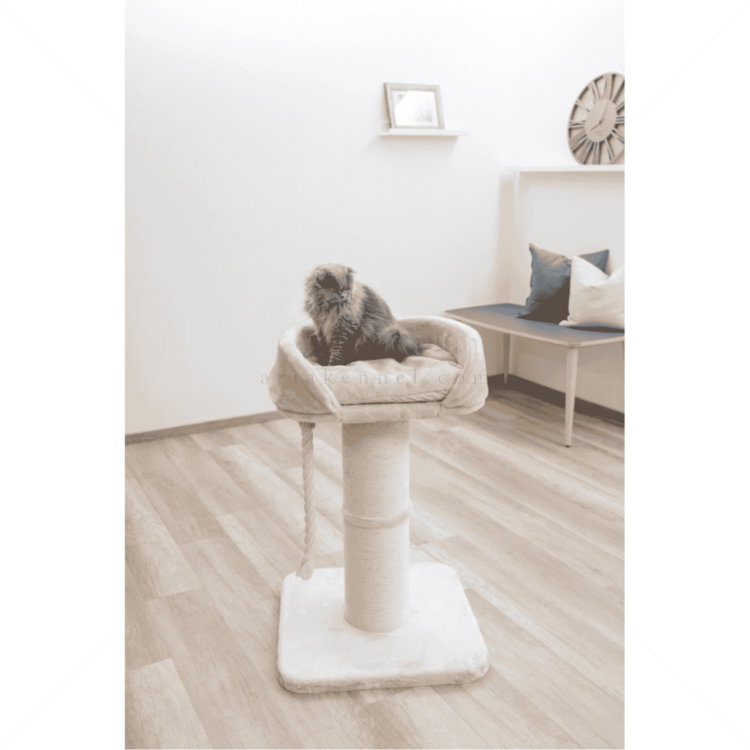 Катерушка Тони 92 см KERBL Cat Tree Toni XL