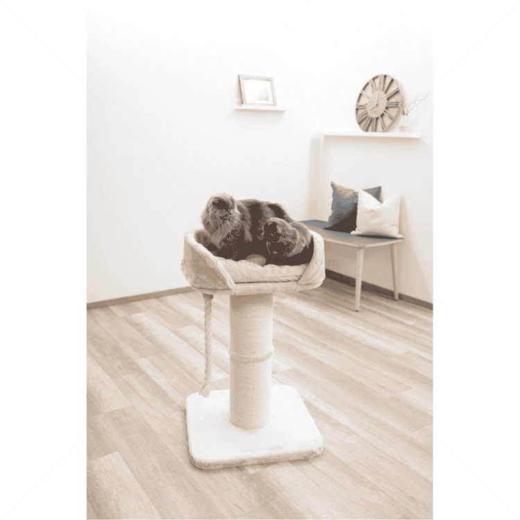 Катерушка Тони 92 см KERBL Cat Tree Toni XL