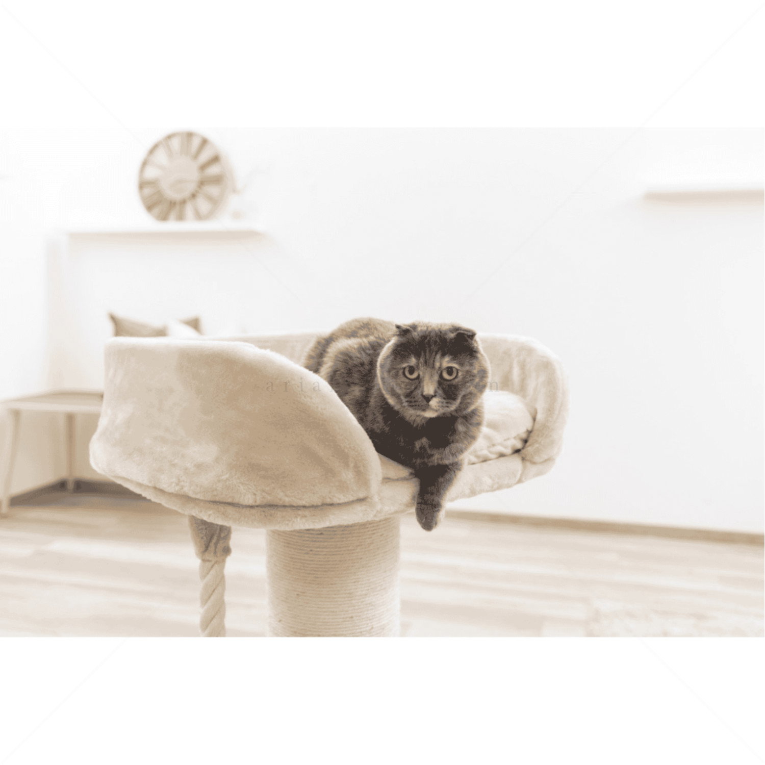 Катерушка Тони 92 см KERBL Cat Tree Toni XL