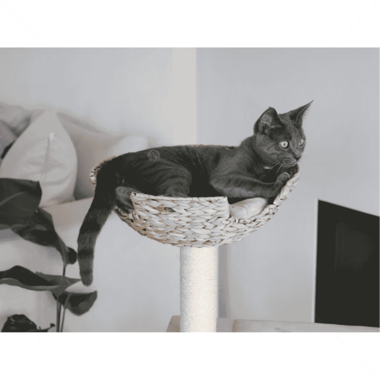 Катерушка Котешко дърво 100 см KERBL Cat Tree Banana Leaf Jade, beige